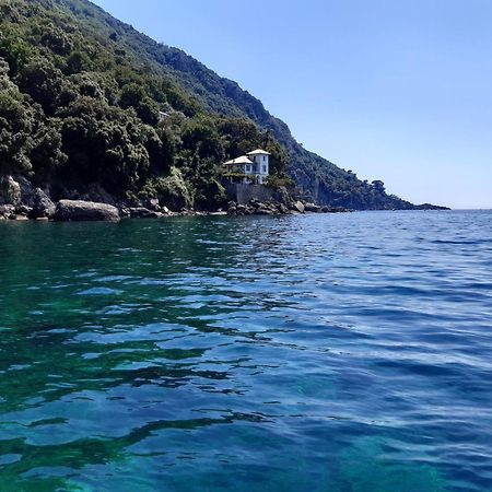 Villa Albachiara Camogli Exterior photo