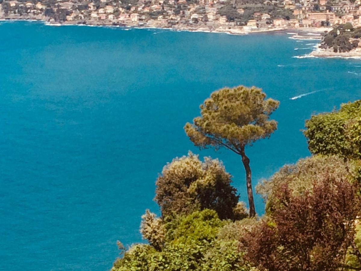 Villa Albachiara Camogli Exterior photo