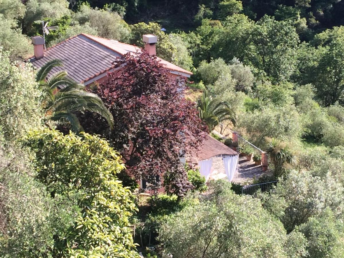 Villa Albachiara Camogli Exterior photo