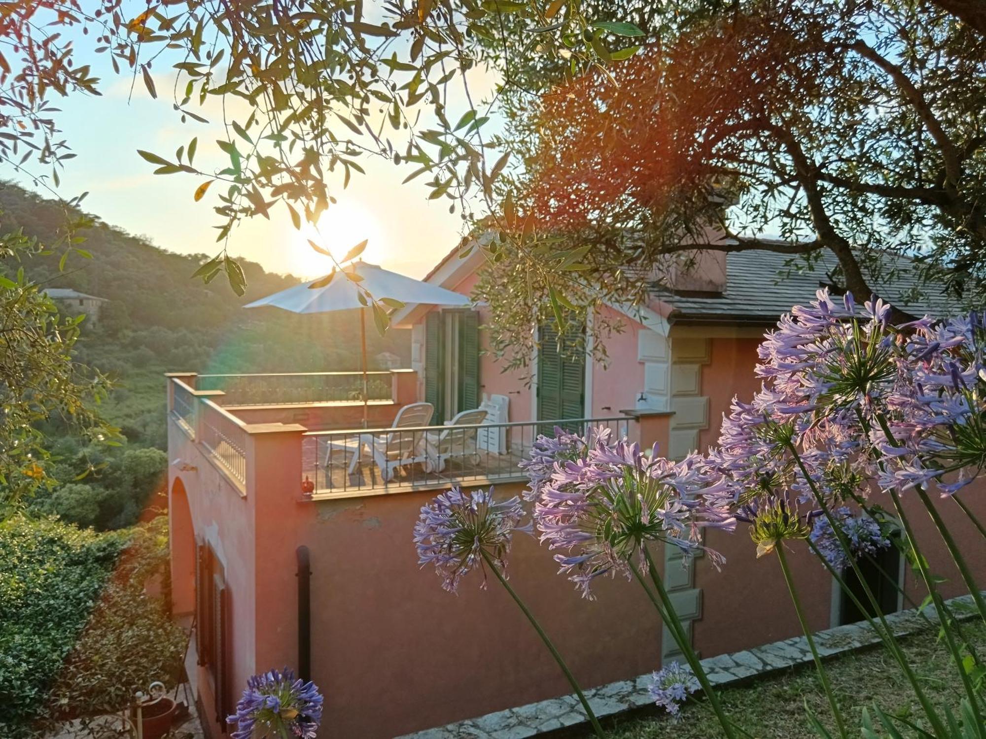 Villa Albachiara Camogli Exterior photo