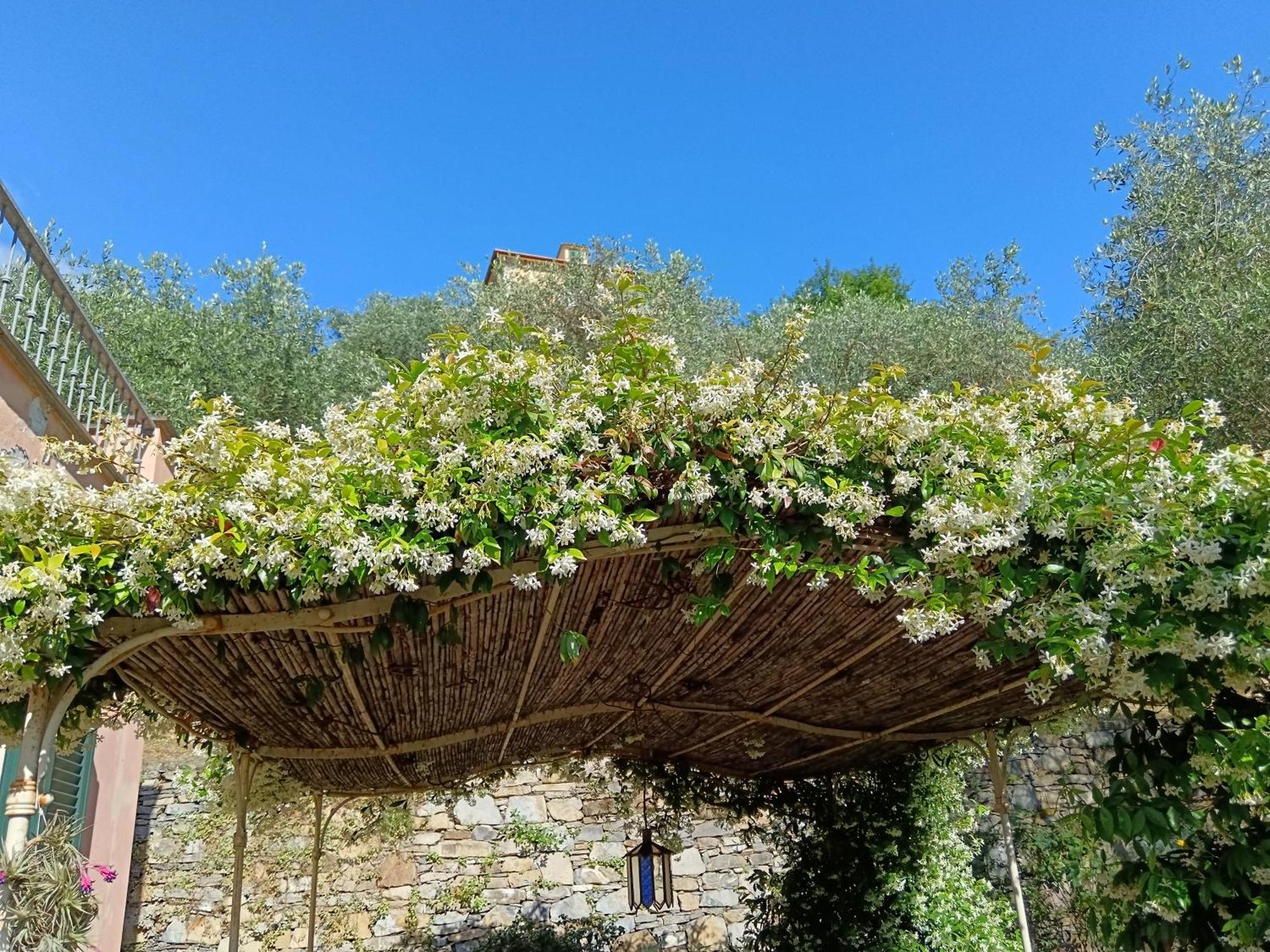 Villa Albachiara Camogli Exterior photo
